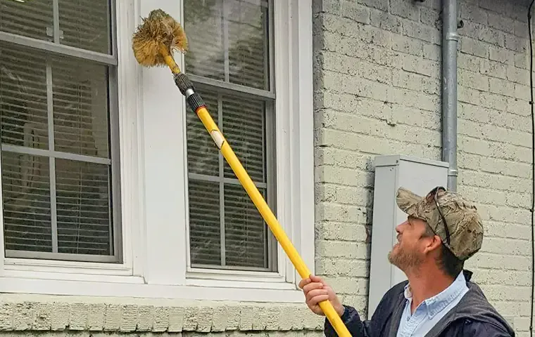 Home pest control treatment, sweeping exterior of home